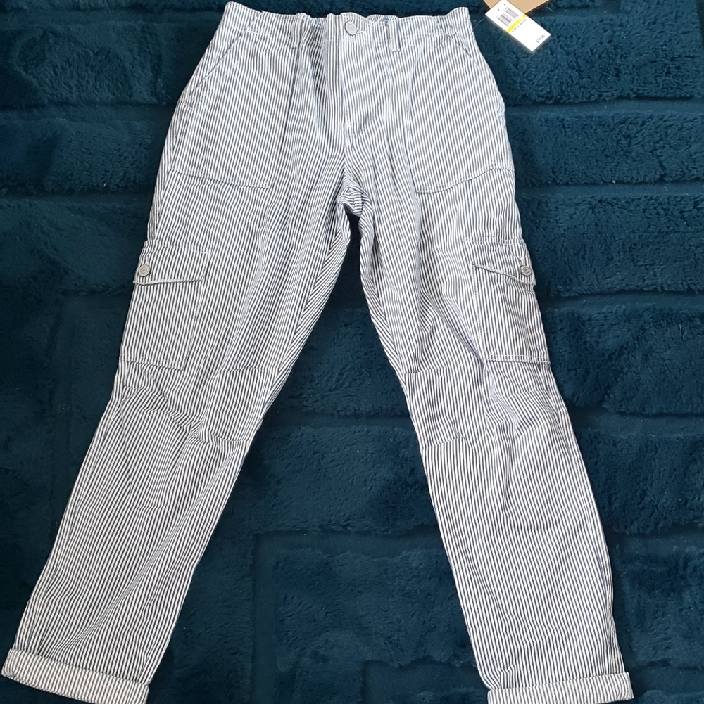 Dickies Women's Blue and White Striped Cargo Pants